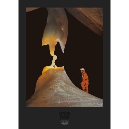 Poster Elephant