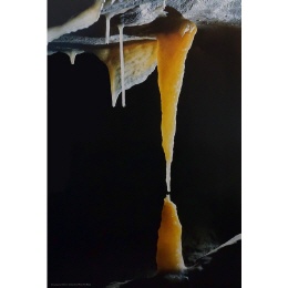 Poster Tempelgang