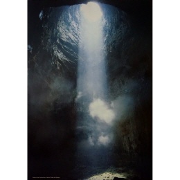 Poster Golondrinas