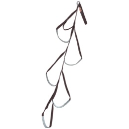 Bandleitern