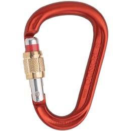 AustriAlpin Rondo Gi Schraubkarabiner