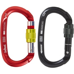 Courant Axxis TL Oval Schraubkarabiner