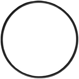 Scurion O-Ring für Batteriekasten
