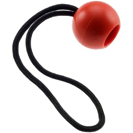 Camp Herbol Ball