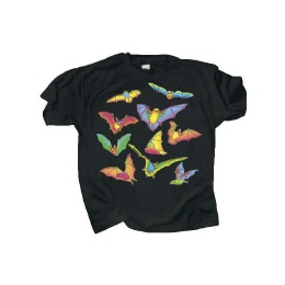 Kinder T-Shirts