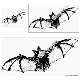 Fledermaus Aufkleber