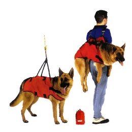 Alp Design Taxi Hundetragegurt